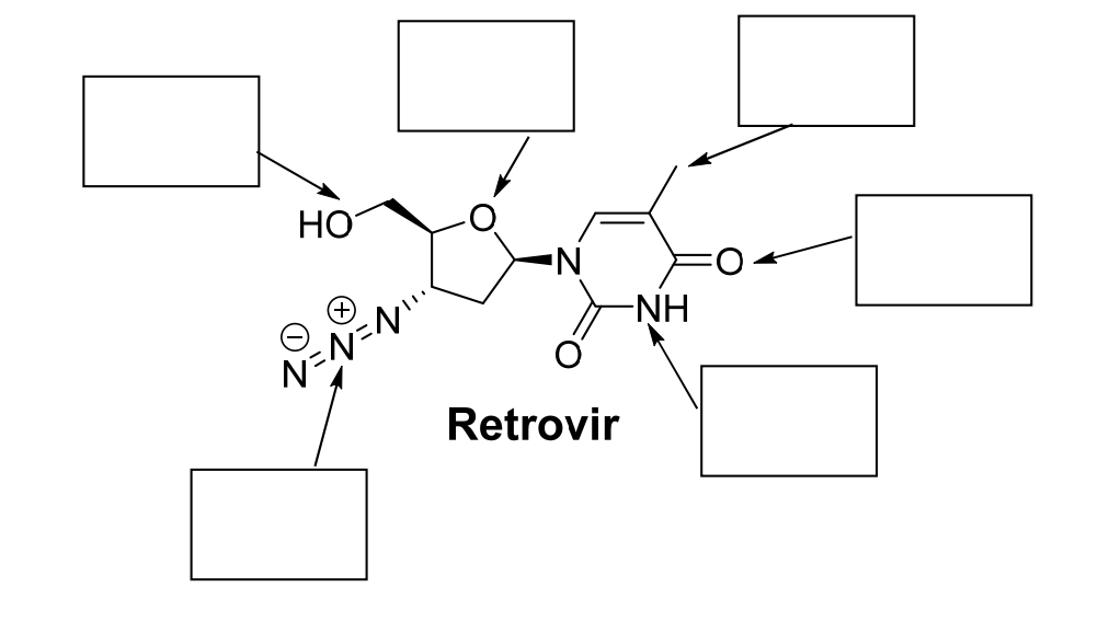 HO
/=N=N₁
-N
Retrovir
-NH