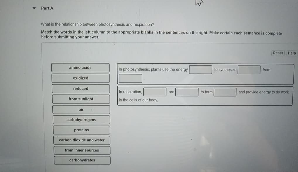 Part A
3.
W
What is the relationship between photosynthesis and respiration?
Match the words in the left column to the appropriate blanks in the sentences on the right. Make certain each sentence is complete
before submitting your answer.
amino acids
In photosynthesis, plants use the energy
to synthesize
from
oxidized
Reset Help
reduced
In respiration,
are
to form
and provide energy to do work
from sunlight
in the cells of our body.
air
carbohydrogens
proteins
carbon dioxide and water
from inner sources
carbohydrates