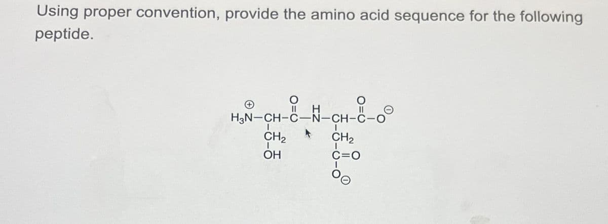 Using proper convention, provide the amino acid sequence for the following
peptide.
||
။
H3N-CH-C-N-CH-C-O
CH2
OH
k
H
CH2
C=O
b