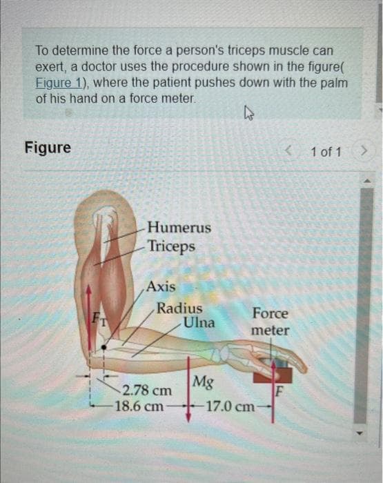 To determine the force a person's triceps muscle can
exert, a doctor uses the procedure shown in the figure(
Figure 1), where the patient pushes down with the palm
of his hand on a force meter.
4
Figure
FT
Humerus
-Triceps
Axis
Radius
2.78 cm
-18.6 cm-
Ulna
Mg
< 1 of 1
Force
meter
17.0 cm-
F
>
