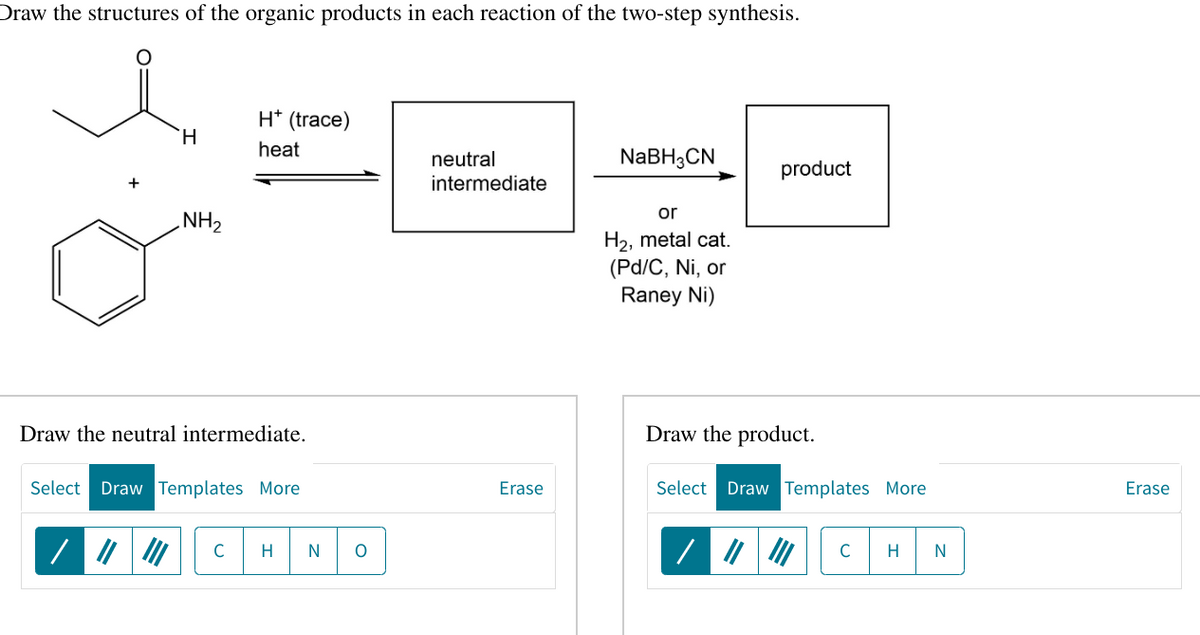 Draw the structures of the organic products in each reaction of the two-step synthesis.
H
NH₂
H* (trace)
heat
Draw the neutral intermediate.
Select Draw Templates More
C
H N O
neutral
intermediate
Erase
NaBH3CN
or
H₂, metal cat.
(Pd/C, Ni, or
Raney Ni)
product
Draw the product.
Select Draw Templates More
/ |||||| с H N
Erase