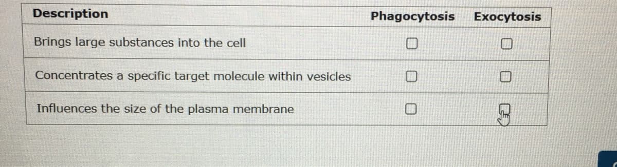 Description
Phagocytosis
Exocytosis
Brings large substances into the cell
Concentrates a specific target molecule within vesicles
Influences the size of the plasma membrane
