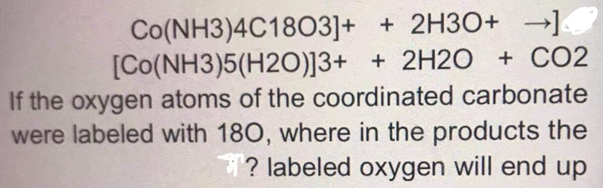 Co(NH3)4C1803]+ + 2H3O+ →]
[Co(NH3)5(H2O)]3+ + 2H2O + CO2
If the oxygen atoms of the coordinated carbonate
were labeled with 180, where in the products the
? labeled oxygen will end up
