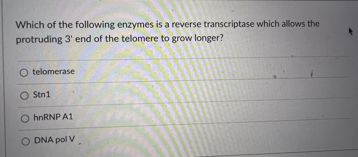 Which of the following enzymes is a reverse transcriptase which allows the
protruding 3' end of the telomere to grow longer?
O telomerase
Stn1
O hnRNP A1
O DNA pol V

