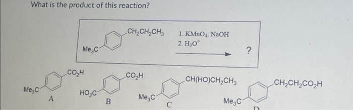 What is the product of this reaction?
Me C
A
Me C
CO₂H
HO₂C
B
CH₂CH₂CH3
CO₂H
Me3C
C
1. KMnO4, NaOH
2. H₂O*
_CH(HO)CH,CH3
Me3C
?
CH,CH,CO,H