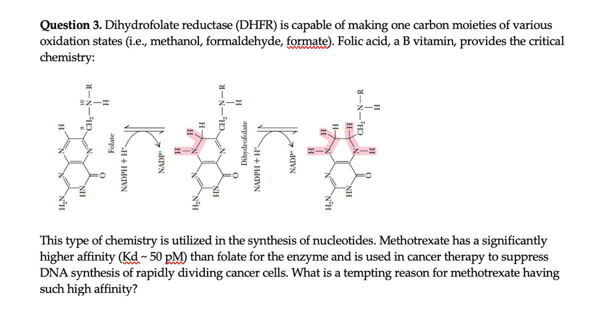 Question 3. Dihydrofolate reductase (DHFR) is capable of making one carbon moieties of various
oxidation states (i.e., methanol, formaldehyde, formate). Folic acid, a B vitamin, provides the critical
chemistry:
R.
This type of chemistry is utilized in the synthesis of nucleotides. Methotrexate has a significantly
higher affinity (Kd - 50 pM) than folate for the enzyme and is used in cancer therapy to suppress
DNA synthesis of rapidly dividing cancer cells. What is a tempting reason for methotrexate having
such high affinity?
