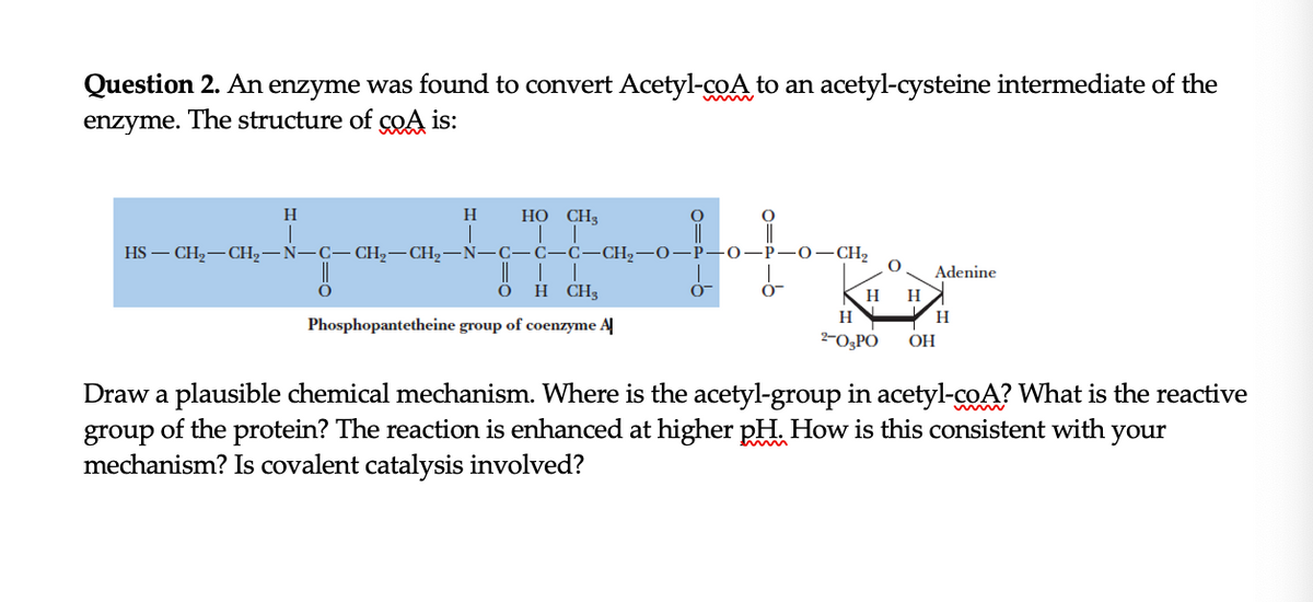 Question 2. An enzyme was found to convert Acetyl-coA to an acetyl-cysteine intermediate of the
enzyme. The structure of cOA is:
H
H
НО СН;
HS — СH2— СH2 — N—C—CH,— CH2—N- С—С—С—CH;—0—Р-
0–CH2
Adenine
н CH
H
H
H
Phosphopantetheine group of coenzyme A
2-O3PO
ОН
Draw a plausible chemical mechanism. Where is the acetyl-group in acetyl-coA? What is the reactive
group of the protein? The reaction is enhanced at higher pH. How is this consistent with your
mechanism? Is covalent catalysis involved?
