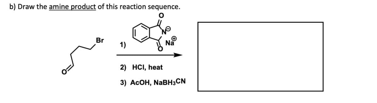 b) Draw the amine product of this reaction sequence.
+
Br
Na
1)
2) HCI, heat
3) AcOH, NaBH3CN