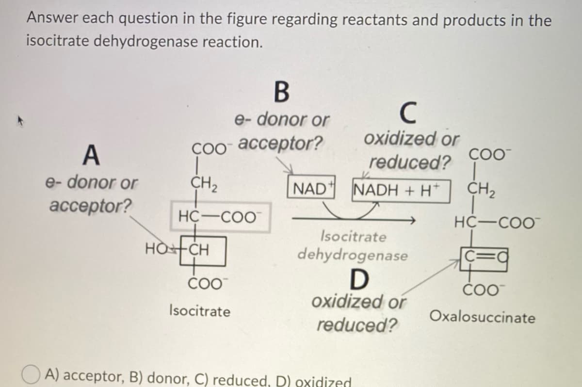 Answer each question in the figure regarding reactants and products in the
isocitrate dehydrogenase reaction.
A
e-donor or
acceptor?
B
e-donor or
Coo-acceptor?
|
CH₂
HC-COO
HOCH
COO™
Isocitrate
NAD
с
oxidized or
reduced?
A) acceptor, B) donor, C) reduced, D) oxidized
NADH + H
Isocitrate
dehydrogenase
D
oxidized or
reduced?
COO™
CH ₂
HC-COO™
COO™
Oxalosuccinate