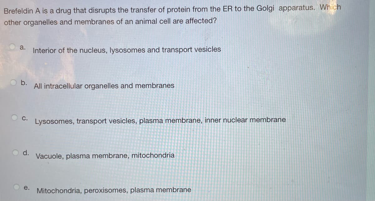 Brefeldin A is a drug that disrupts the transfer of protein from the ER to the Golgi apparatus. Which
other organelles and membranes of an animal cell are affected?
a.
Interior of the nucleus, lysosomes and transport vesicles
b.
All intracellular organelles and membranes
C.
Lysosomes, transport vesicles, plasma membrane, inner nuclear membrane
d.
Vacuole, plasma membrane, mitochondria
e.
Mitochondria, peroxisomes, plasma membrane
