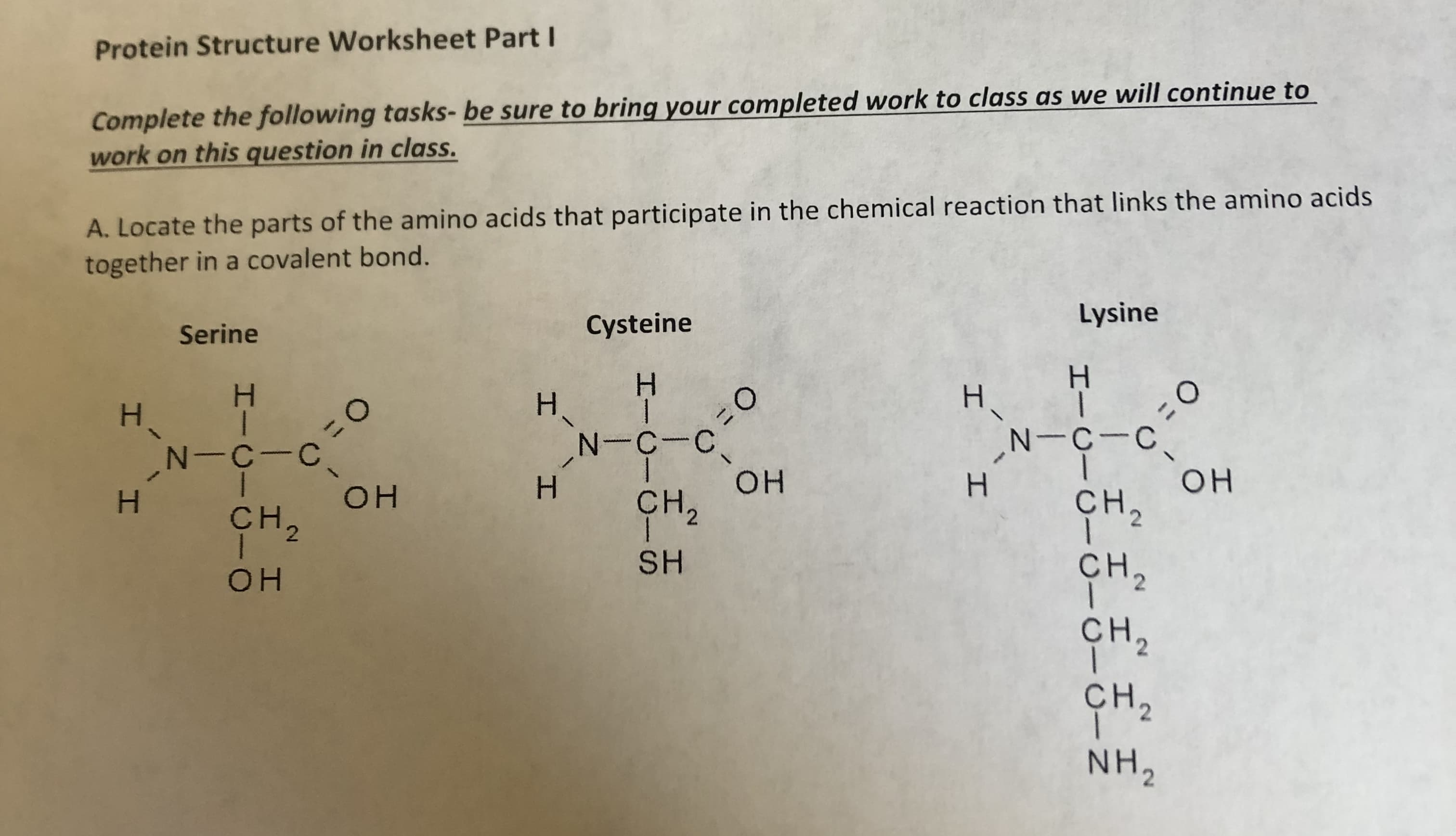 Protein Structure Worksheet PartI
Complete the following tasks- be sure to bring your completed work to class as we will continue to
work on this question in class.
A. Locate the parts of the amino acids that participate in the chemical reaction that links the amino acids
together in a covalent bond.
Lysine
Cysteine
Serine
Н
H.
H
11
N-C-C
он
сн,
=0
N-C-C
I
Н
OH
H
ҫH, Он
Cн,
2
2
SH
ҫн,
OH
сн,
ҫн,
NH2
2
2
I I
- C- N
I-C-CIC-
I
I
O-
I
I
/\
