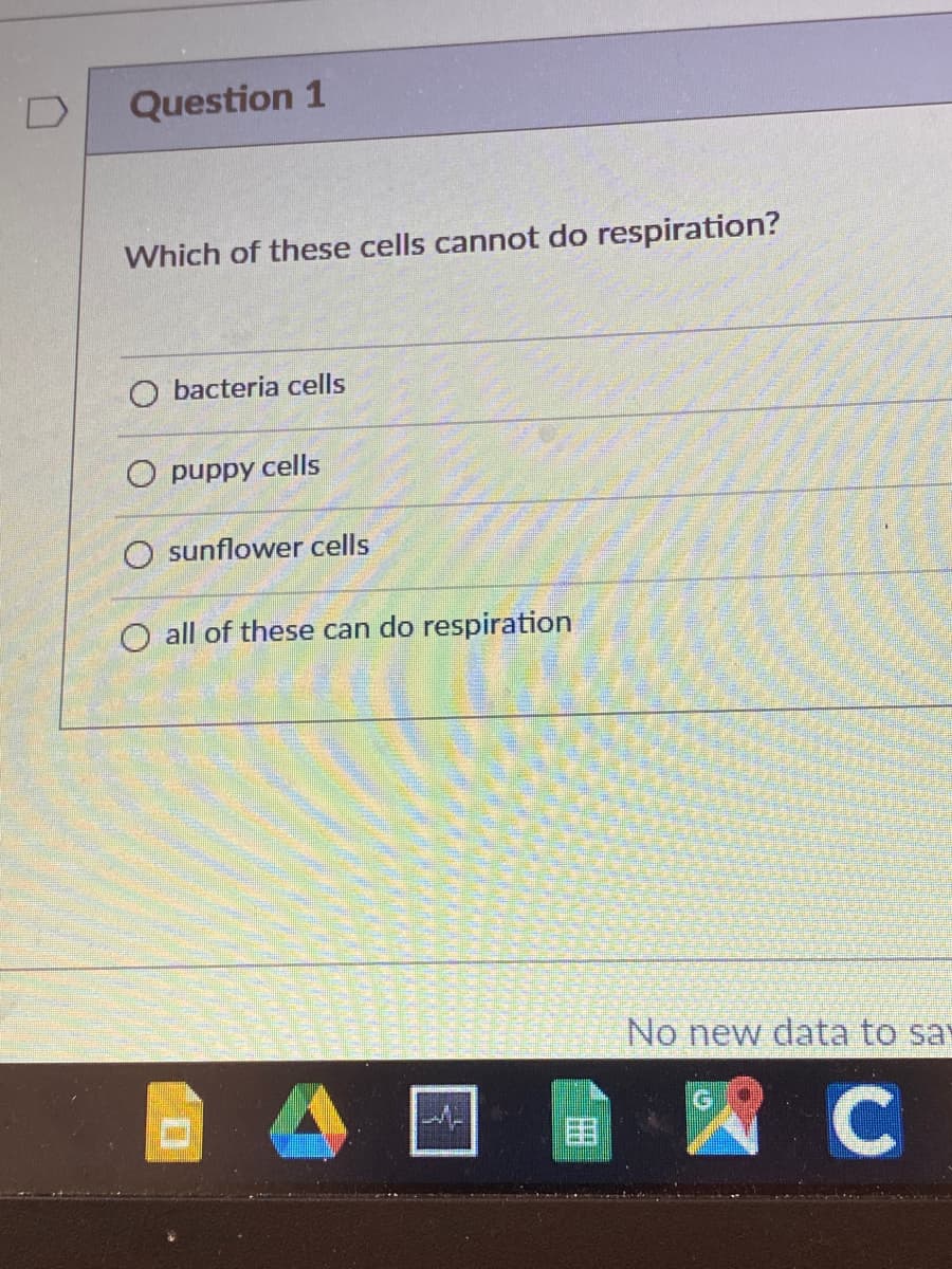 Question 1
Which of these cells cannot do respiration?
O bacteria cells
O puppy cells
sunflower cells
O all of these can do respiration
No new data to say
國C
国
