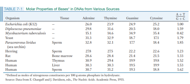TABLE 7-1 Molar Properties of Bases* in DNAS from Various Sources
A +T
Organism
Tissue
Adenine
Thymine
Guanine
Cytosine
G+C
Escherichia coli (K12)
Diplococcus pneumoniae
Mycobacterium tuberculosis
26.0
23.9
24.9
25.2
1.00
29.8
31.6
20.5
18.0
1.59
15.1
14.6
34.9
35.4
0.42
Yeast
31.3
32.9
18.7
17.1
1.79
Paracentrotus lividus
Sperm
32.8
32.1
177
18.4
1.85
(sea urchin)
Herring
1.23
1.33
Sperm
27.8
275
22.2
22.6
Rat
Bone marrow
28.6
28.4
21.4
21.5
Human
19.9
19.8
Thymus
Liver
30.9
29.4
1.52
Human
30.3
30.3
19.5
19.9
1.53
Human
Sperm
30.7
31.2
19.3
18.8
1.62
*Defined as moles of nitrogenous constituents per 100 g-atoms phosphate in hydrolysate.
Source: Data from E Chargaff and J. Davidson, eds, The Nucleic Acids. Academic Press, 1955.
