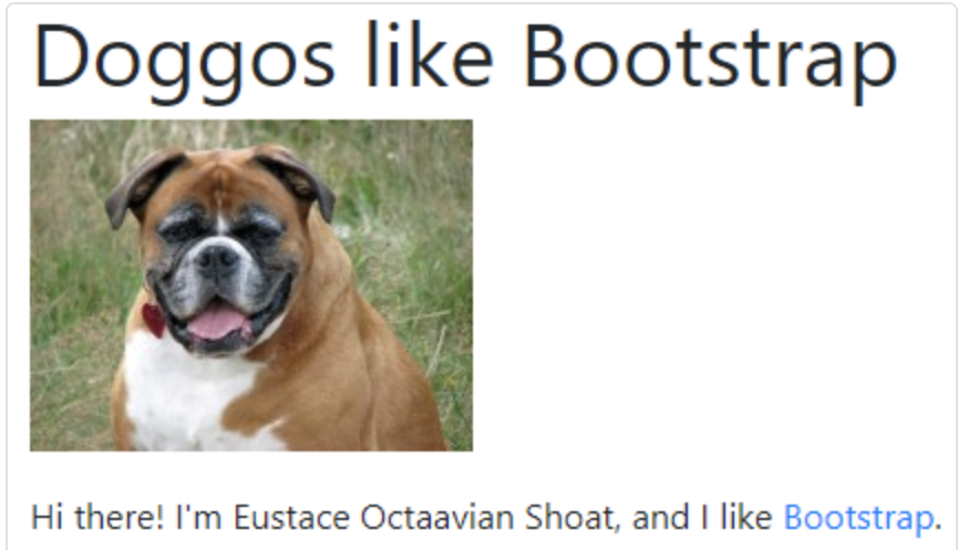 Doggos like Bootstrap
Hi there! I'm Eustace Octaavian Shoat, and I like Bootstrap.
