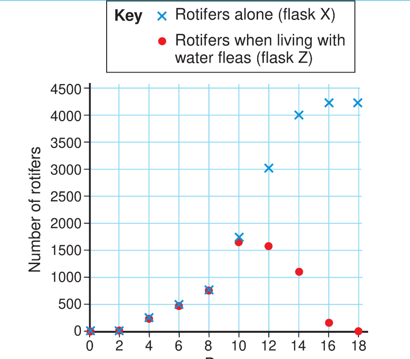 Number of rotifers
4500
4000
3500-
3000
2500
2000-
1500-
1000
500
0
Key x Rotifers alone (flask X)
• Rotifers when living with
water fleas (flask Z)
02 4
6
8
X
X
X
10 12 14 16 18