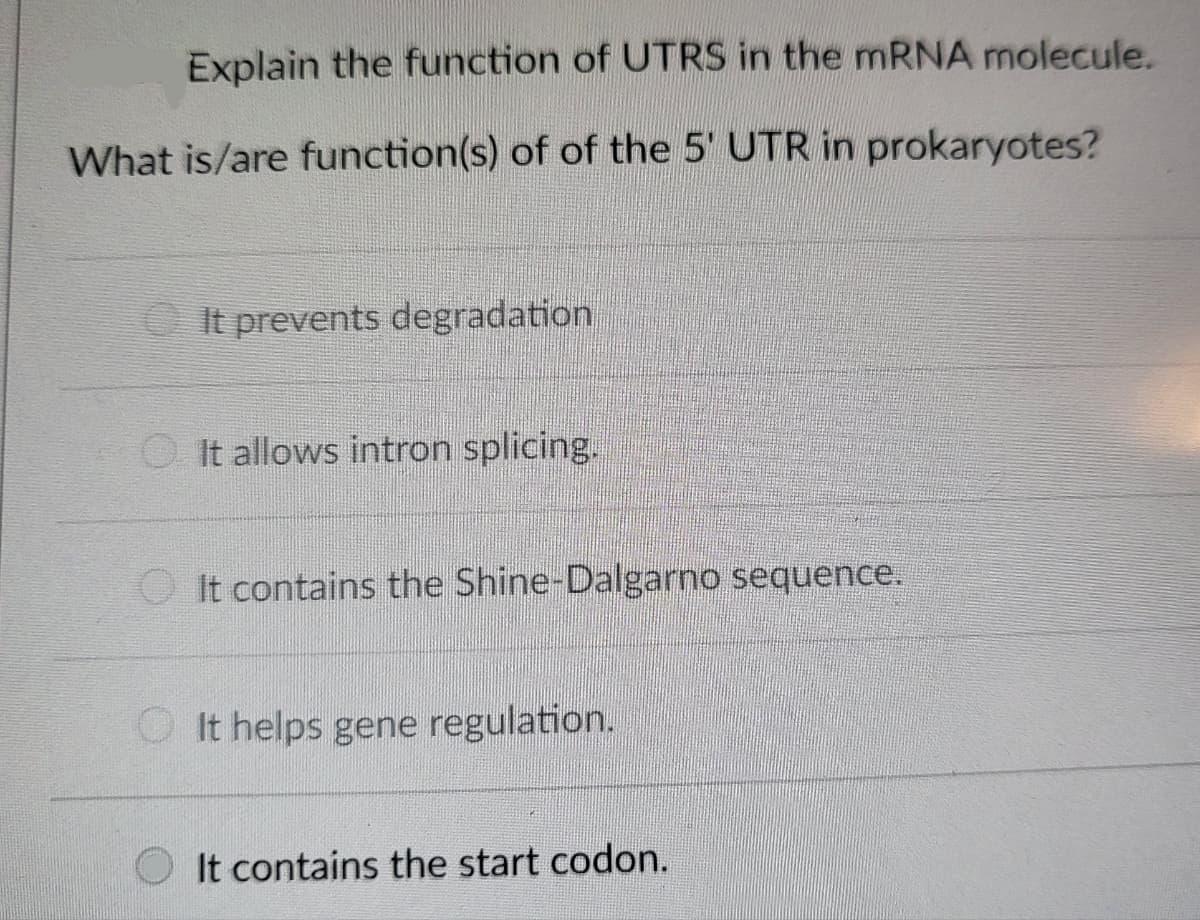 Explain the function of UTRS in the mRNA molecule.
What is/are function(s) of of the 5' UTR in prokaryotes?
It prevents degradation
It allows intron splicing.
OIt contains the Shine-Dalgarno sequence.
It helps gene regulation.
It contains the start codon.