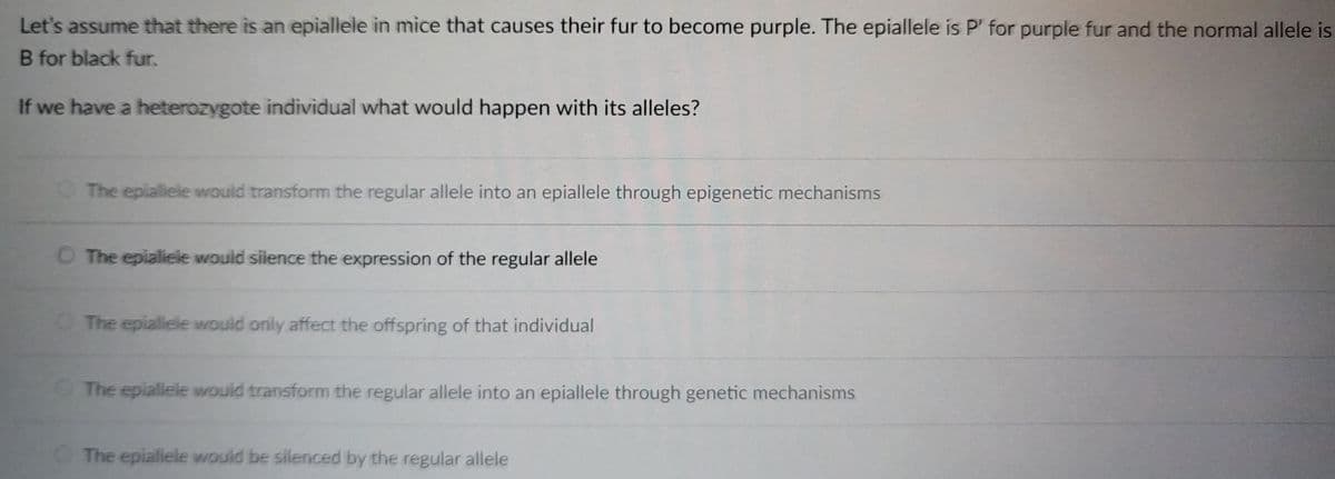 Let's assume that there is an epiallele in mice that causes their fur to become purple. The epiallele is P' for purple fur and the normal allele is
B for black fur.
If we have a heterozygote individual what would happen with its alleles?
The epiallele would transform the regular allele into an epiallele through epigenetic mechanisms
O The epialiele would silence the expression of the regular allele
The epiallele would only affect the offspring of that individual
The epiallele would transform the regular allele into an epiallele through genetic mechanisms
The epiallele would be silenced by the regular allele
