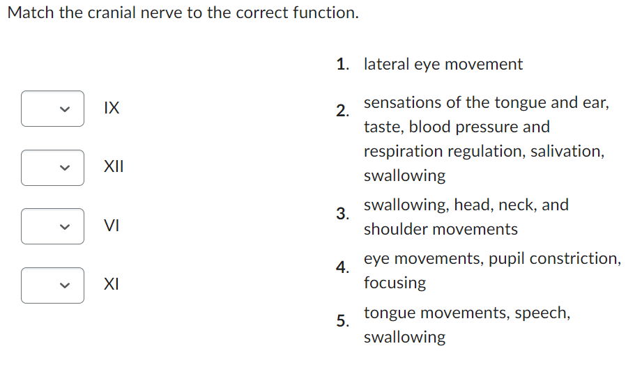 Match the cranial nerve to the correct function.
IX
XII
VI
XI
1. lateral eye movement
2.
3.
4.
5.
sensations of the tongue and ear,
taste, blood pressure and
respiration regulation, salivation,
swallowing
swallowing, head, neck, and
shoulder movements
eye movements, pupil constriction,
focusing
tongue movements, speech,
swallowing