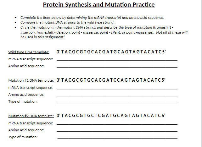 Protein Synthesis and Mutation Practice
• Complete the lines below by determining the mRNA transcript and amino acid sequence.
• Compare the mutant DNA strands to the wild type strand.
⚫ Circle the mutation in the mutant DNA strands and describe the type of mutation (frameshift -
insertion, frameshift - deletion, point - missense, point - silent, or point-nonsense). Not all of these will
be used in this assignment!
Wild type DNA template: 3' TACGCGTGCACGATGCAGTAGTACATC5'
mRNA transcript sequence:
Amino acid sequence:
Mutation #1 DNA template: 3' TACGCGTGCACGATCCAGTAGTACATC5'
mRNA transcript sequence:
Amino acid sequence:
Type of mutation:
Mutation #2 DNA template: 3' TACGCGTGCTCGATGCAGTAGTACATC5'
mRNA transcript sequence:
Amino acid sequence:
Type of mutation: