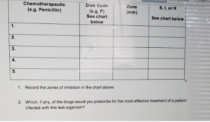 1.
2.
3.
4.
5.
Chemotherapeutic
(e.g. Penicillin)
Disk Code
Zone
(e.g. P)
See chart
below
(mm)
1. Record the zones of inhibition in the chart above.
S, I, or R
See chart below
2. Which, if any, of the drugs would you prescribe for the most effective treatment of a patient
infected with this test organism?