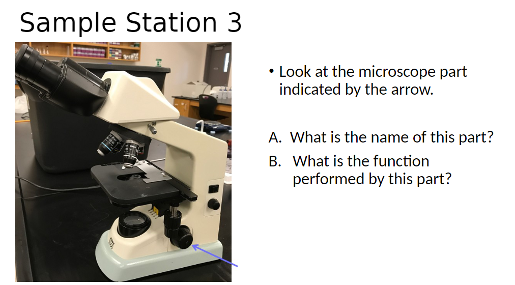 Sample Station 3
• Look at the microscope part
indicated by the arrow.
A. What is the name of this part?
B. What is the function
performed by this part?