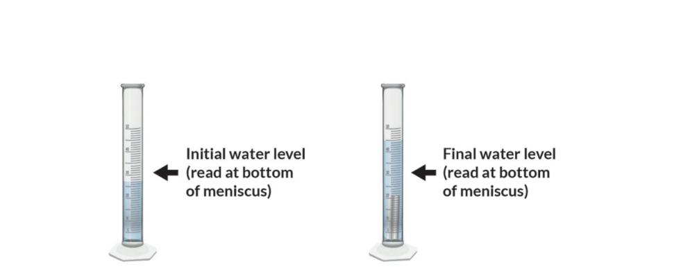 Initial water level
(read at bottom
of meniscus)
Final water level
(read at bottom
of meniscus)