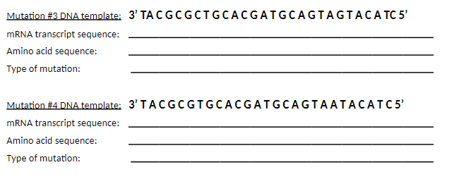 Mutation #3 DNA template: 3' TA CGCGCTGCACGATGCAGTAGTACATC 5'
mRNA transcript sequence:
Amino acid sequence:
Type of mutation:
Mutation #4 DNA template: 3' TACGCGTGCACGATGCAGTAATACATC5'
mRNA transcript sequence:
Amino acid sequence:
Type of mutation: