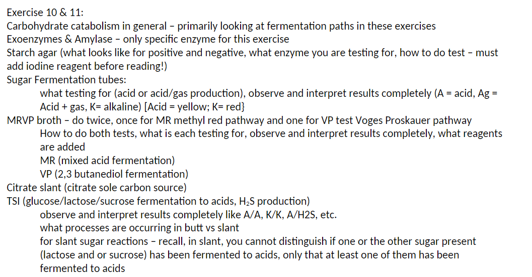 Exercise 10 & 11:
Carbohydrate catabolism in general - primarily looking at fermentation paths in these exercises
Exoenzymes & Amylase - only specific enzyme for this exercise
Starch agar (what looks like for positive and negative, what enzyme you are testing for, how to do test - must
add iodine reagent before reading!)
Sugar Fermentation tubes:
what testing for (acid or acid/gas production), observe and interpret results completely (A = acid, Ag =
Acid + gas, K= alkaline) [Acid = yellow; K= red}
MRVP broth - do twice, once for MR methyl red pathway and one for VP test Voges Proskauer pathway
How to do both tests, what is each testing for, observe and interpret results completely, what reagents
are added
MR (mixed acid fermentation)
VP (2,3 butanediol fermentation)
Citrate slant (citrate sole carbon source)
TSI (glucose/lactose/sucrose fermentation to acids, H₂S production)
observe and interpret results completely like A/A, K/K, A/H2S, etc.
what processes are occurring in butt vs slant
for slant sugar reactions - recall, in slant, you cannot distinguish if one or the other sugar present
(lactose and or sucrose) has been fermented to acids, only that at least one of them has been
fermented to acids