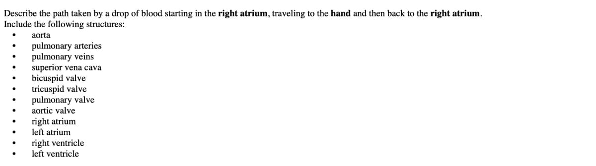 Describe the path taken by a drop of blood starting in the right atrium, traveling to the hand and then back to the right atrium.
Include the following structures:
aorta
pulmonary arteries
pulmonary veins
superior vena cava
bicuspid valve
tricuspid valve
pulmonary valve
aortic valve
right atrium
left atrium
right ventricle
left ventricle
