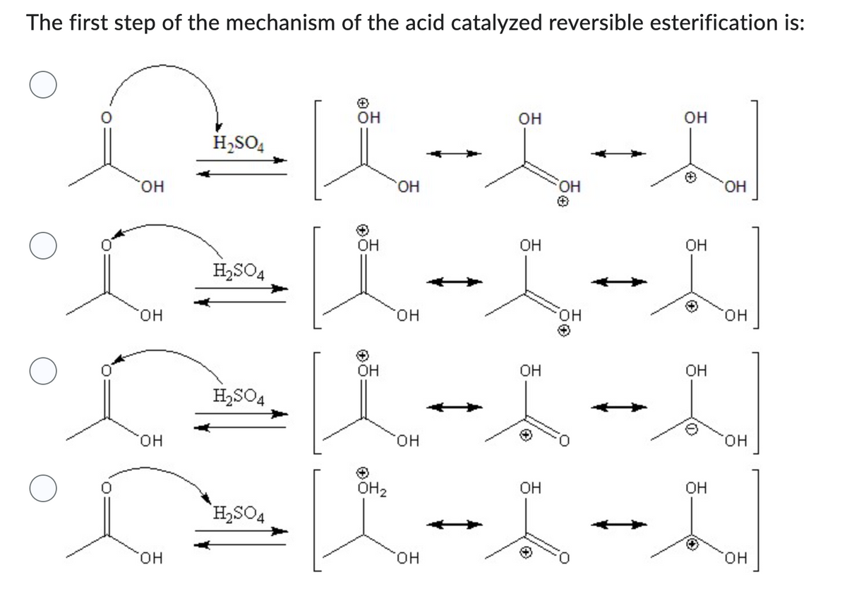 The first step of the mechanism of the acid catalyzed reversible esterification is:
OH
ок-н-н
OH
OH
OH
OH
H2SO4
OH
OH
OH
OH
°CK-I-N
окол
Ск-н-н
OH
OH2
OH
H₂SO4
H₂SO4
OH
H2SO4
OH
OH
SOH
OH
OH
OH
OH
OH
OH
OH
OH
OH
OH