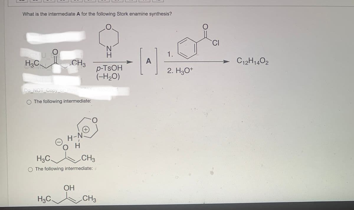 What is the intermediate A for the following Stork enamine synthesis?
H₂C
O
CH3
Do_NOT_Copy_or_Post_COM
O The following intermediate:
H3C.
H-N
он
H3C.
CH3
The following intermediate:
OH
H
p-TsOH
(-H₂O)
CH3
A
or
CI
1.
2. H3O+
C12H1402