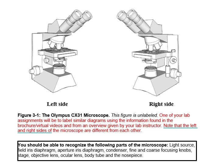 Left side
Right side
Figure 3-1: The Olympus CX31 Microscope. This figure is unlabeled. One of your lab
assignments will be to label similar diagrams using the information found in the
brochure/virtual videos and from an overview given by your lab instructor. Note that the left
and right sides of the microscope are different from each other.
You should be able to recognize the following parts of the microscope: Light source,
ield iris diaphragm, aperture iris diaphragm, condenser, fine and coarse focusing knobs,
stage, objective lens, ocular lens, body tube and the nosepiece.
