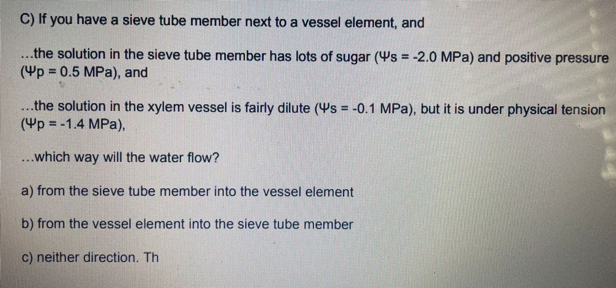 C) If you have a sieve tube member next to a vessel element, and
the solution in the sieve tube member has lots of sugar (Ys = -2.0 MPa) and positive pressure
(4p 0.5 MPa), and
. the solution in the xylem vessel is fairly dilute (Ys = -0.1 MPa), but it is under physical tension
(Yp%3D-1.4MPa),
which way will the water flow?
a) from the sieve tube member into the vessel element
b) from the vessel element into the sieve tube member
c) neither direction. Th
