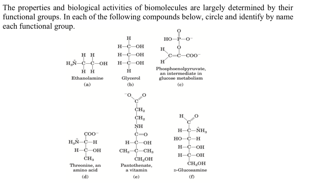 The properties and biological activities of biomolecules are largely determined by their
functional groups. In each of the following compounds below, circle and identify by name
each functional group.
H
Но
P
-0-
Н-С—ОН
H
н
Н-С—ОН
С -С—СОО-
H,Ñ-C–C–OH
H-C-OH
H
Phosphoenolpyruvate,
an intermediate in
glucose metabolism
нн
н
Ethanolamine
Glycerol
(а)
(b)
(c)
CH2
CH2
H
NH
H-C-NH,
CO-
C=0
но
С —Н
H,Ñ-C-H
H-C-OH
—-С-ОН
Н-С—ОН
CH3-C-CH3
ČH,OH
H-
С -ОН
ČH3
ČH2OH
Threonine, an
amino acid
Pantothenate,
a vitamin
D-Glucosamine
(d)
(e)
(f)
