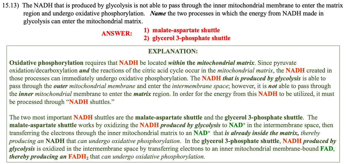 15.13) The NADH that is produced by glycolysis is not able to pass through the inner mitochondrial membrane to enter the matrix
region and undergo oxidative phosphorylation. Name the two processes in which the energy from NADH made in
glycolysis can enter the mitochondrial matrix.
ANSWER:
1) malate-aspartate shuttle
2) glycerol 3-phosphate shuttle
EXPLANATION:
Oxidative phosphorylation requires that NADH be located within the mitochondrial matrix. Since pyruvate
oxidation/decarboxylation and the reactions of the citric acid cycle occur in the mitochondrial matrix, the NADH created in
those processes can immediately undergo oxidative phosphorylation. The NADH that is produced by glycolysis is able to
pass through the outer mitochondrial membrane and enter the intermembrane space; however, it is not able to pass through
the inner mitochondrial membrane to enter the matrix region. In order for the energy from this NADH to be utilized, it must
be processed through "NADH shuttles."
The two most important NADH shuttles are the malate-aspartate shuttle and the glycerol 3-phosphate shuttle. The
malate-aspartate shuttle works by oxidizing the NADH produced by glycolysis to NAD+ in the intermembrane space, then
transferring the electrons through the inner mitochondrial matrix to an NAD+ that is already inside the matrix, thereby
producing an NADH that can undergo oxidative phosphorylation. In the glycerol 3-phosphate shuttle, NADH produced by
glycolysis is oxidized in the intermembrane space by transferring electrons to an inner mitochondrial membrane-bound FAD,
thereby producing an FADH₂ that can undergo oxidative phosphorylation.