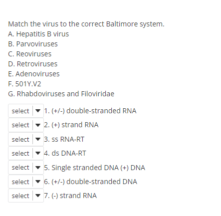 Match the virus to the correct Baltimore system.
А. Нерatitis B virus
B. Parvoviruses
C. Reoviruses
D. Retroviruses
E. Adenoviruses
F. 501Y.V2
G. Rhabdoviruses and Filoviridae
select
1. (+/-) double-stranded RNA
select
2. (+) strand RNA
select
3. ss RNA-RT
select
4. ds DNA-RT
select
5. Single stranded DNA (+) DNA
select
6. (+/-) double-stranded DNA
select
7. (-) strand RNA
