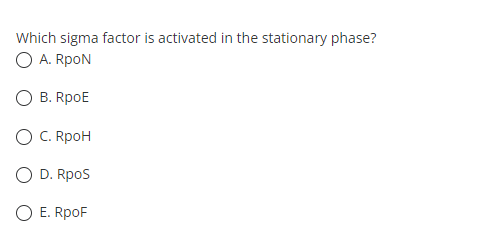 Which sigma factor is activated in the stationary phase?
O A. RpoN
O B. RpoE
O C. RpoH
O D. Rpos
O E. RpoF
