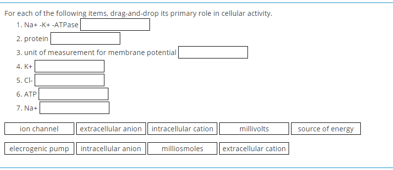 For each of the following items, drag-and-drop its primary role in cellular activity.
1. Na+ -K+ -ATPase
2. protein
3. unit of measurement for membrane potential
4. K+
5. Cl-
6. ATP
7. Na+
ion channel
extracellular anion
intracellular cation
millivolts
source of energy
elecrogenic pump
intracellular anion
milliosmoles
extracellular cation
