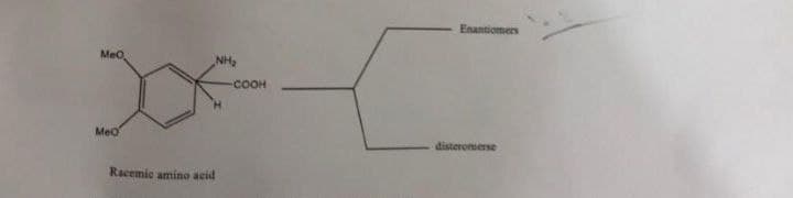 Enantiomers
MeO
NH,
-COOH
H.
MeO
disteromerse
Racemic amino acid
