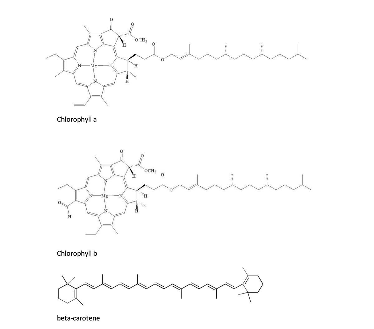 OCH3
H
"H
N-
-Mg
H
Chlorophyll a
OCH3
H
Mg-
H.
Chlorophyll b
beta-carotene
II..
