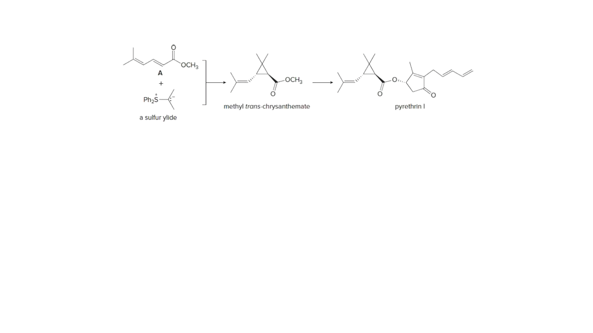 OCH3
A
LOCH3
methyl trans-chrysanthemate
pyrethrin I
a sulfur ylide
