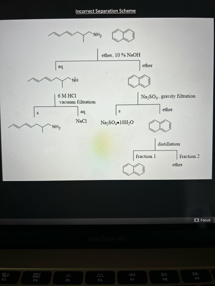 Incorrect Separation Scheme
NH2
ether, 10 % NaOH
ether
aq
NH
6 M HC1
NazSO,. gravity filtration
vacuum filtration
ether
aq
NaCl
Na,SO,•10H,O
NH2
distillation
fraction 1
fraction 2
ether
O Focus
MacBook Pro
80
DD
000
DII
000
F3
F4
F5
F6
E7
F8
F9
