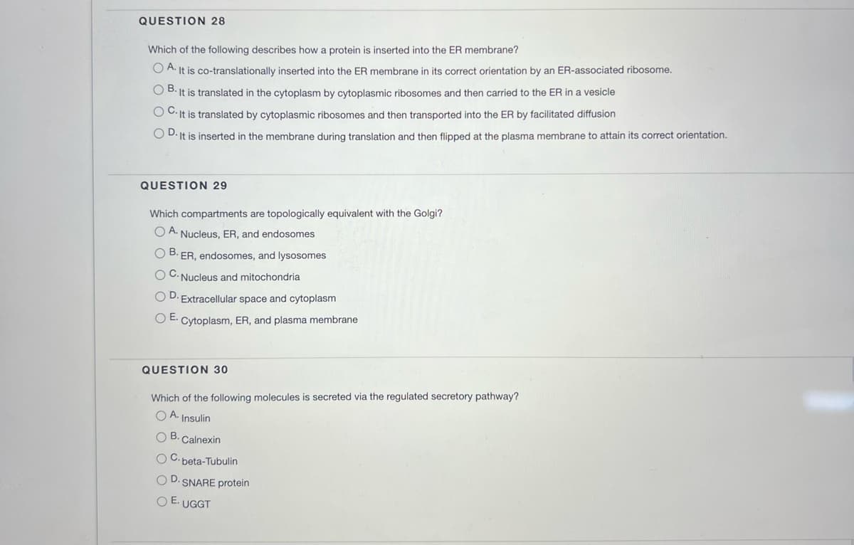 QUESTION 28
Which of the following describes how a protein is inserted into the ER membrane?
OA. It is co-translationally inserted into the ER membrane in its correct orientation by an ER-associated ribosome.
OB. It is translated in the cytoplasm cytoplasmic ribosomes and then carried to the ER in a vesicle
OC. It is translated by cytoplasmic ribosomes and then transported into the ER by facilitated diffusion
OD. It is inserted in the membrane during translation and then flipped at the plasma membrane to attain its correct orientation.
QUESTION 29
Which compartments are topologically equivalent with the Golgi?
OA. Nucleus, ER, and endosomes
OB. ER, endosomes, and lysosomes
OC. Nucleus and mitochondria
OD. Extracellular space and cytoplasm
OE. Cytoplasm, ER, and plasma membrane
QUESTION 30
Which of the following molecules is secreted via the regulated secretory pathway?
OA. Insulin
OB. Calnexin
OC-beta-Tubulin
OD. SNARE protein
OE. UGGT