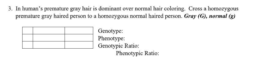 3. In human's premature gray hair is dominant over normal hair coloring. Cross a homozygous
premature gray haired person to a homozygous normal haired person. Gray (G), normal (g)
Genotype:
Phenotype:
Genotypic Ratio:
Phenotypic Ratio:
