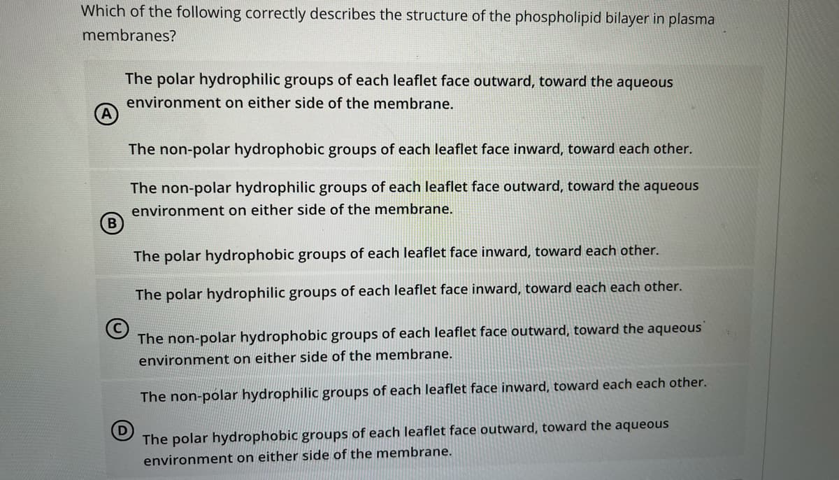 Which of the following correctly describes the structure of the phospholipid bilayer in plasma
membranes?
The polar hydrophilic groups of each leaflet face outward, toward the aqueous
environment on either side of the membrane.
A
The non-polar hydrophobic groups of each leaflet face inward, toward each other.
The non-polar hydrophilic groups of each leaflet face outward, toward the aqueous
environment on either side of the membrane.
B
The polar hydrophobic groups of each leaflet face inward, toward each other.
The polar hydrophilic groups of each leaflet face inward, toward each each other.
The non-polar hydrophobic groups of each leaflet face outward, toward the aqueous
environment on either side of the membrane.
The non-polar hydrophilic groups of each leaflet face inward, toward each each other.
The polar hydrophobic groups of each leaflet face outward, toward the aqueous
environment on either side of the membrane.
