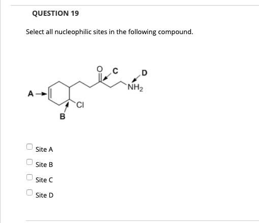 QUESTION 19
Select all nucleophilic sites in the following compound.
D
`NH2
A
в
Site A
Site B
Site C
Site D
O O
