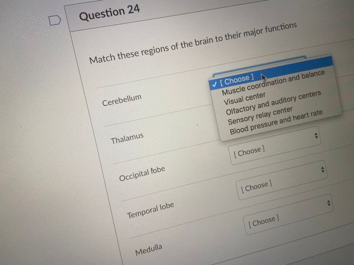 Question 24
Match these regions of the brain to their major functions
Cerebellum
V [ Choose ]
Muscle coordination and balance
Visual center
Olfactory and auditory centers
Thalamus
Sensory relay center
Blood pressure and heart rate
Occipital lobe
[ Choose]
Temporal lobe
[ Choose )
Medulla
[Choose]
