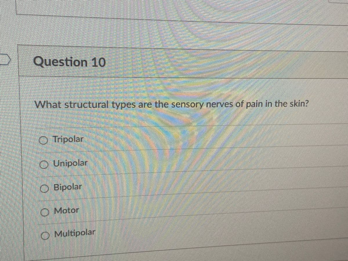Question 10
What structural types are the sensory nerves of pain in the skin?
O Tripolar
O Unipolar
O Bipolar
O Motor
O Multipolar
