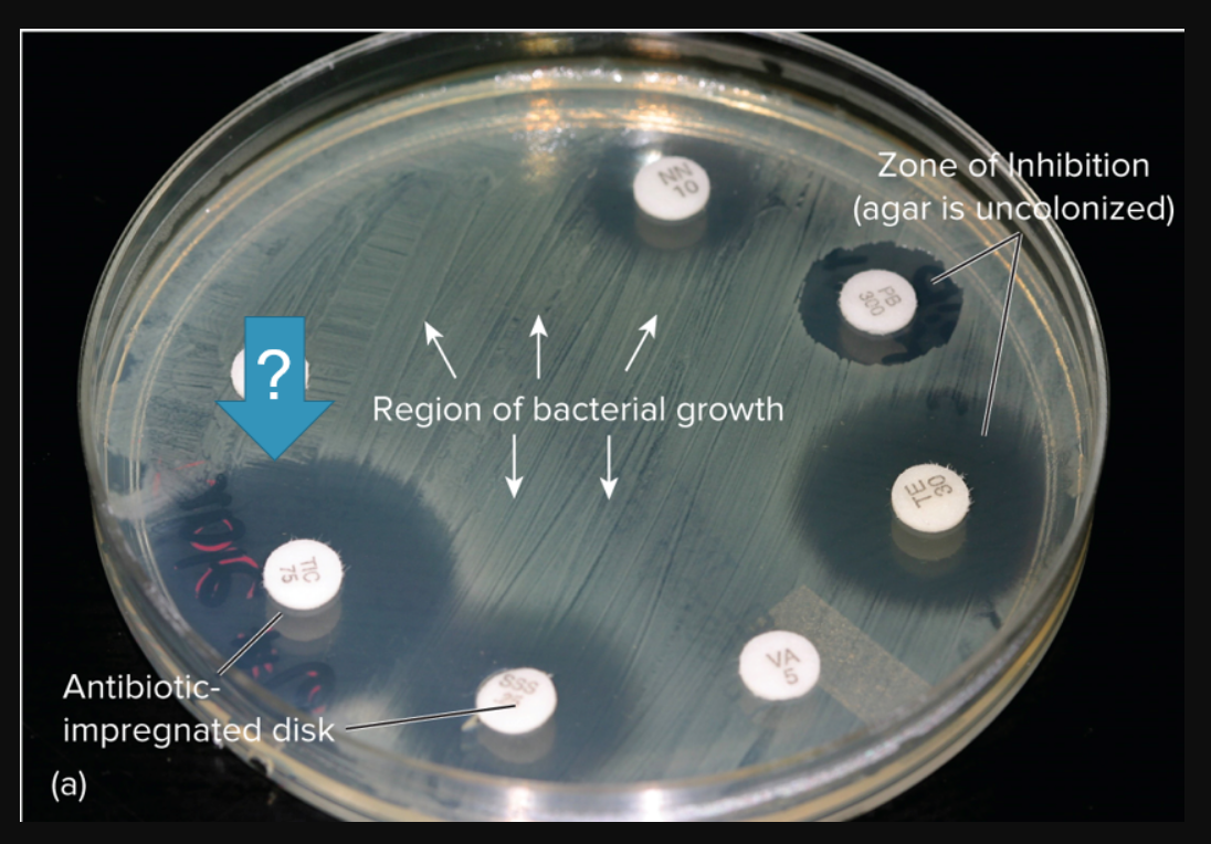 (?
Antibiotic-
impregnated disk
(a)
Region of bacterial growth
SSS
VA
Zone of Inhibition
(agar is uncolonized)
食品