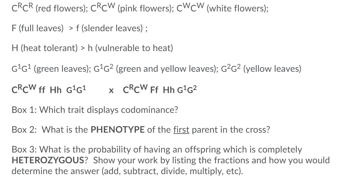 CRCR (red flowers); CRCW (pink flowers); CWCW (white flowers);
F (full leaves) > f (slender leaves) ;
H (heat tolerant) > h (vulnerable to heat)
GʻG? (green leaves); GʻG² (green and yellow leaves); G²G² (yellow leaves)
CRCW ff Hh GʻG?
x CRCW Ff Hh GʻG?
Box 1: Which trait displays codominance?
Box 2: What is the PHENOTYPE of the first parent in the cross?
Box 3: What is the probability of having an offspring which is completely
HETEROZYGOUS? Show your work by listing the fractions and how you would
determine the answer (add, subtract, divide, multiply, etc).
